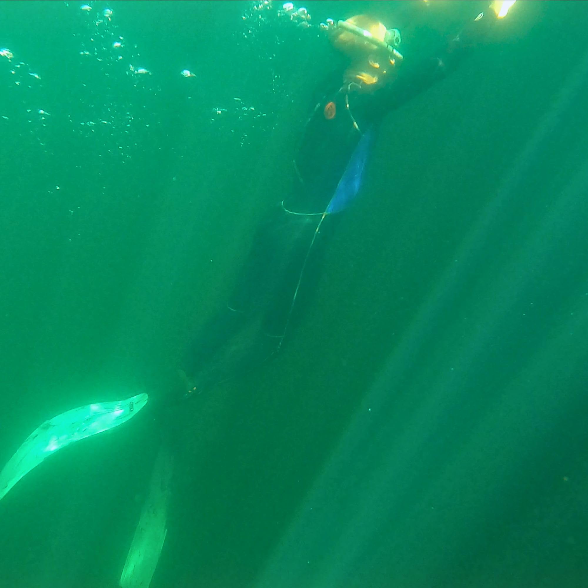 AquaStalk Freediving Set with Spawn Snorkel & Syryn Fins
