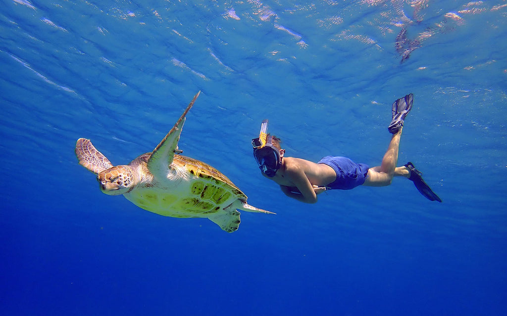 OCEAN REEF Aria QR+ Full-Face Snorkeling Mask